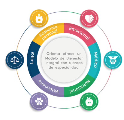 Copia de Modelo-de-bienestar